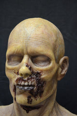 rotten corpes zombie silicone mask