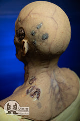 The Zombie