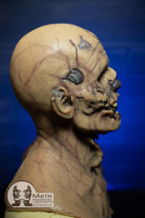 The Zombie
