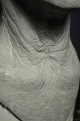 The Gentleman (pre-order)