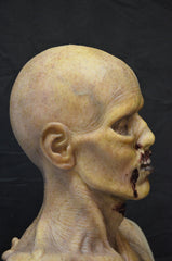 rotten corpes silicone mask